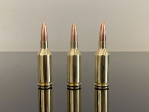 .25 Winchester Super Short Magnum / .25 WSSM, HP, латунь
