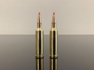 .270 WSM / .270 Winchester Short Magnum, BTip, латунь