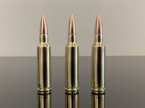 300 WSM / 300 Winchester Short Magnum, FMJ, латунь