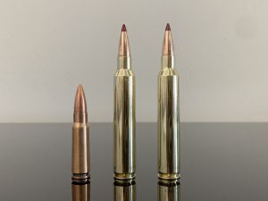 300 RUM / 300 Remington Ultra Magnum, BTip, латунь