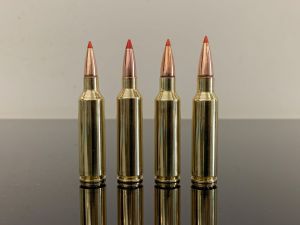 Патроны семейства WSM (Winchester Short Magnum) с пулями  BTip