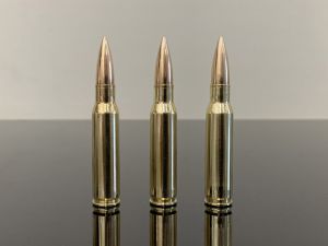 .308 Win / 7.62х51 / 308 Winchester, FMJ, Чехия, латунь