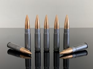 .300 AAC Blackout / .300 BLK, сталь в сером полимере, БПЗ