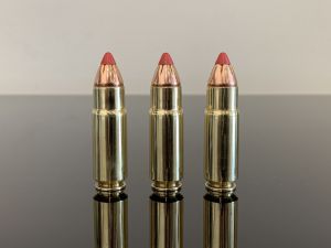 458 Socom, Hornady FTX, BTip, 325gr