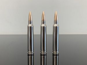 .300 Winchester Magnum / .300 Win Mag, HP, никель