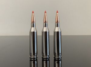 .243 Winchester / .243 Win / 6х52, BTip, никель