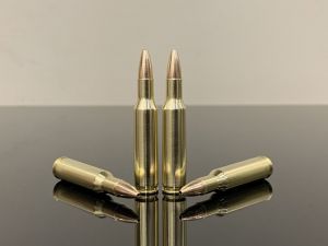 .222 Remington / 5.7х43, HP, латунь 500M11652