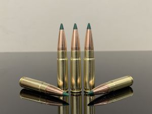 300 Whisper, BTip, Sierra TMK 168 gn, латунь 500M11653