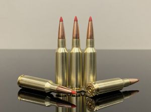 224 Valkyrie / 5.6х41 / 224 Валькирия, BTip, латунь 500M11691