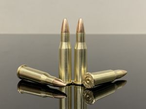 .218 Bee / .218 WCF / .218 Winchester Bee, HP (62gr), латунь 500M11695