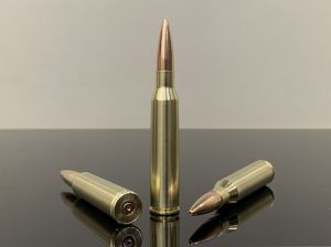 8.6х69 ПФО / 338 Lapua Magnum, Lapua Scenar OTM (250 gr) 16.2г, латунь 500M11712