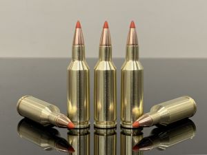 22 PPC / 5.7x38mm, BTip, латунь 500M11741