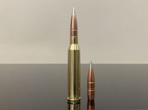 .338 Lapua Magnum #12, Custom Solid RAM 225gr (14.6г), латунь 500M11761