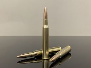7х65 R / 7х65R Brenneke, FMJ, Strela, латунь 500M11771