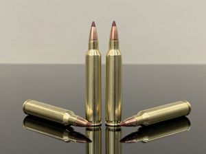 .204 Ruger, BTip, латунь 500M10178
