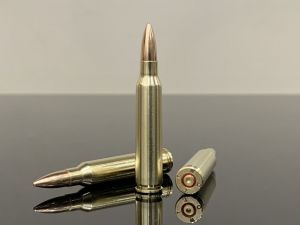 5.56х45 NATO, США 1970, FMJ, Армейские, латунь 500M11786