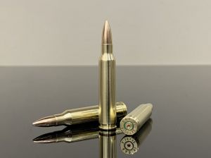 5.56х45 NATO, Чехи 2010+, Армейские, FMJ, латунь 500M10180