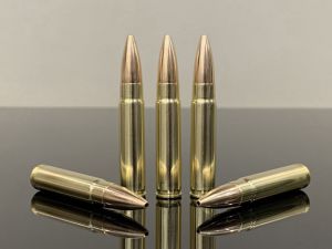 300 HAM'R / .30-30 AR, HP, латунь 500M11821