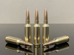 6mm ARC / 6mm Advanced Rifle Cartridge, 85gr, FMJ, латунь 500M11824