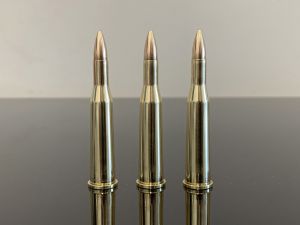 5.6х52R / .22 Savage Hi-Power, FMJ, латунь