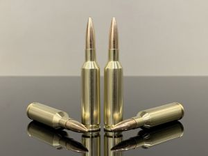 6mm XC / 6XC, FMJ, латунь 500M11846
