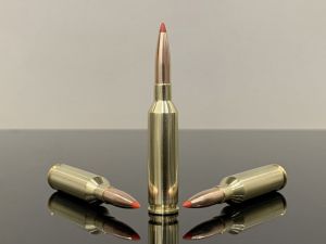 6mm Creedmoor, BTip, латунь 500M11848