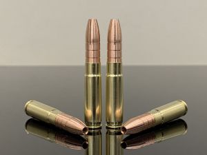 .300 AAC Blackout / .300 BLK, HP Solid Subsonic 500M11855