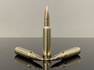 7.5х55 Swiss / 7.5 mm Schmidt-Rubin, FMJ, латунь 500M11858
