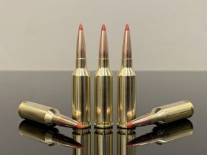 22 ARC / 22 Advanced Rifle Cartridge, 80gr, BTip, латунь 500M11870