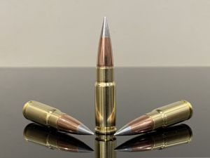 338 ARC / 338 Advanced Rifle Cartridge, 225gr, Сверхзвук, Solid ATip, латунь 500M11871