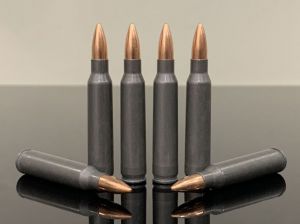.223 Remington / 5.56х45mm NATO, FMJ, серый 500M10293