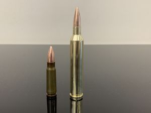 [Эксклюзив] .300 Pegasus A-Square / 7.62х75 Pegasus, OTip, латунь