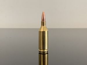 .223 WSSM / .223 Winchester Super Short Magnum, HP, латунь