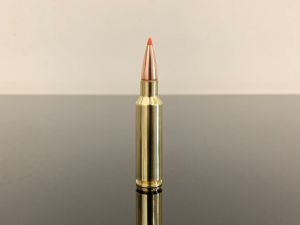 325 WSM / 325 Winchester Short Magnum, BTip, латунь