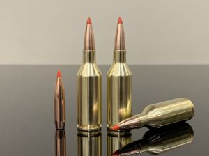 .243 WSSM / 243 Winchester Super Short Magnum, BTip, латунь 500M10844
